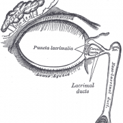 dacriocistorinostomia assistita